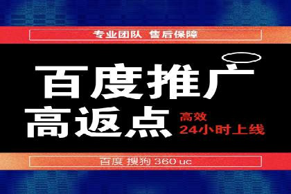 百度推广在电商行业的成功案例